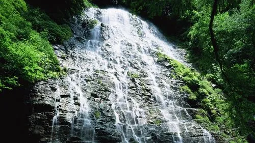 电子可靠性高端