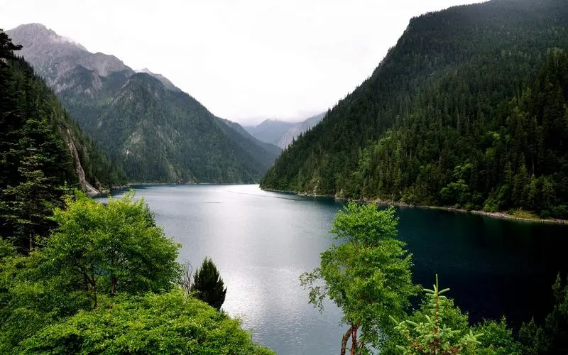 节能新型先进